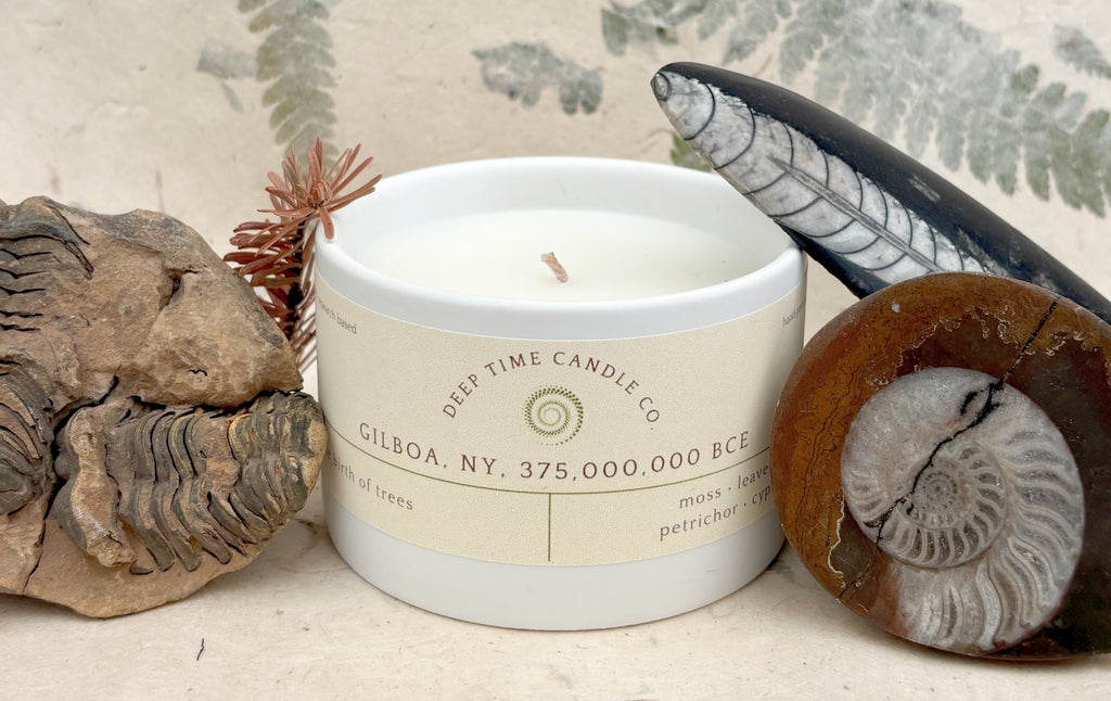 Gilboa, NY, 375,000,000 BCE